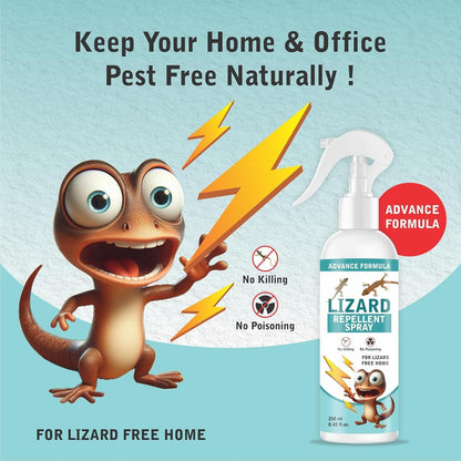 Lizard Mite & Insects Repellent Spray - Pack of 2 (Buy 1 Get 1 Free)